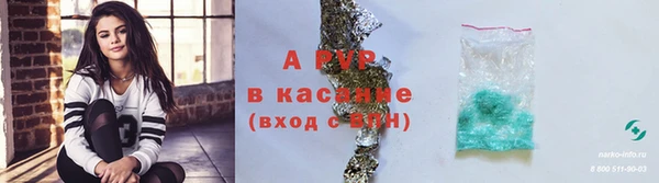 винт Нея