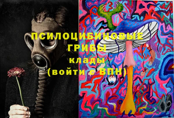 Альфа ПВП Новодвинск