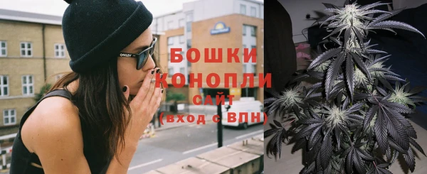 Альфа ПВП Новодвинск